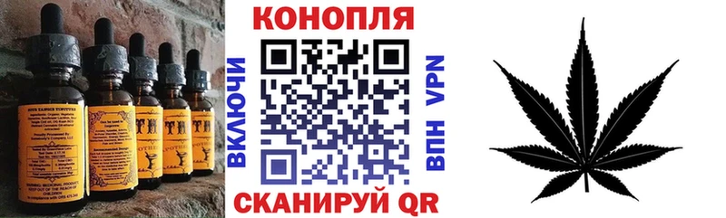 Еда ТГК конопля  Купить где  Рошаль 