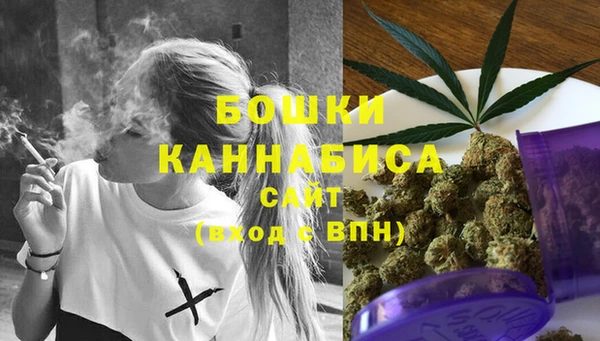 дурь Карпинск