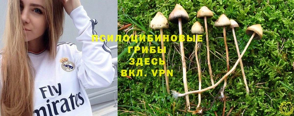 дурь Карпинск