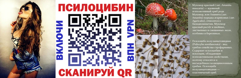 Купить где  Рошаль  Псилоцибиновые грибы Cubensis 