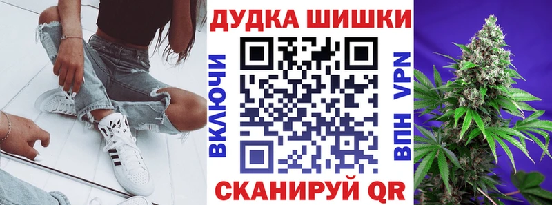 Бошки Шишки ГИДРОПОН  Купить где  Рошаль 